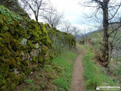 Cerezos en flor; Valle del Jerte; rutas de viajes valle de valdeón viajes en fin de año